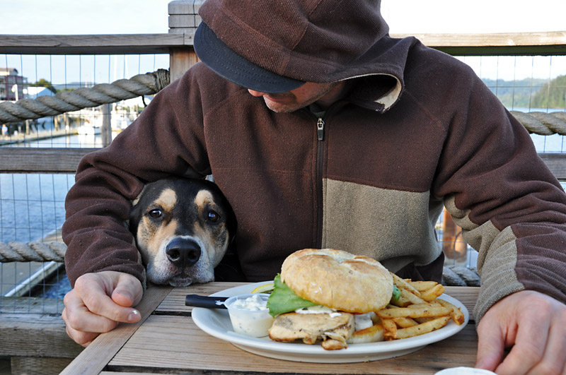 Mulder says look at my sad face and give me a fry.jpg