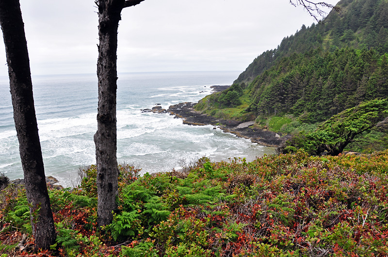 Neptune State Park.jpg