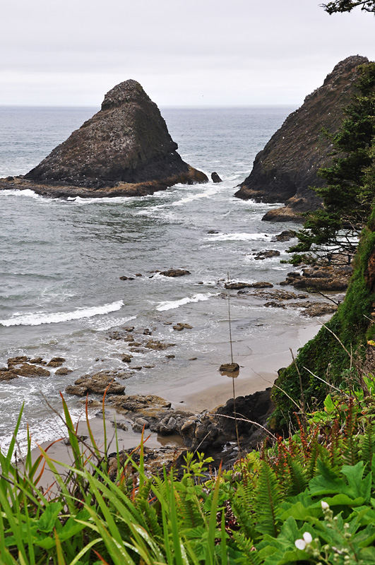 Seastacks near Heceta Head.jpg