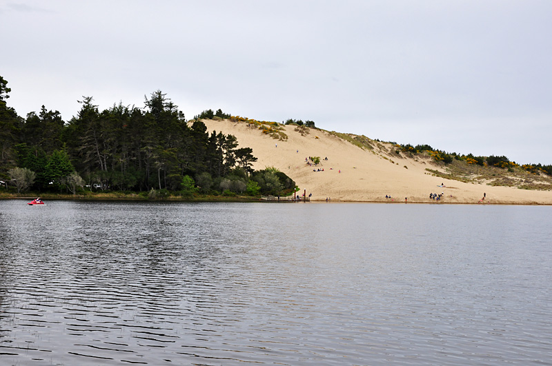 The sandboarding hill at Honeyman SP.jpg