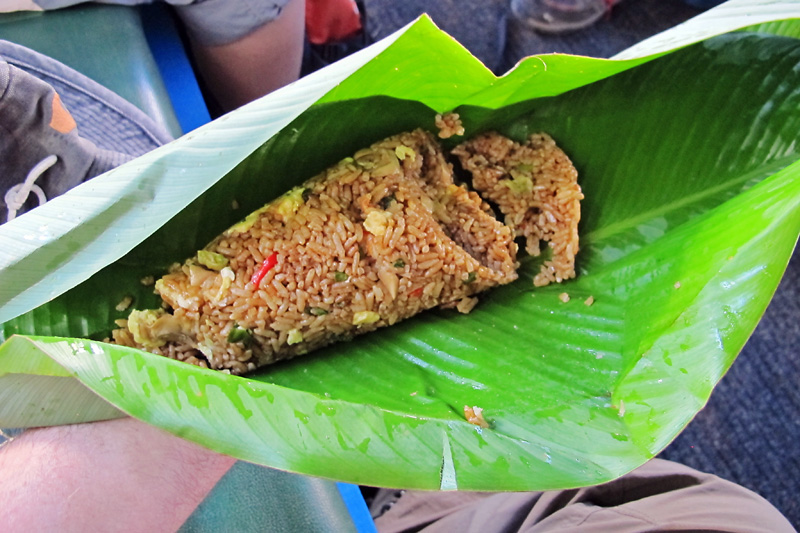 Amazonian fast food in a disposable wrapper.jpg