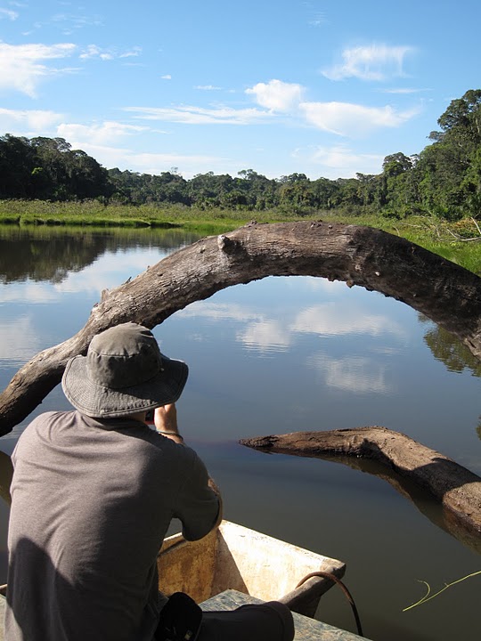 Lisa took this cool picture of me taking pictures of the bats.JPG