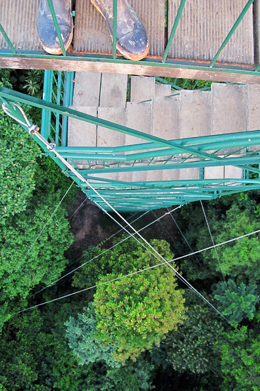 Looking down the tower.jpg