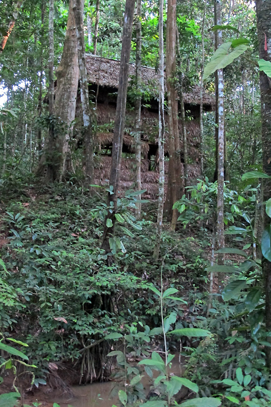 Mammal lookout hut.jpg