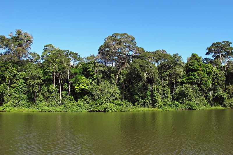 Oxbow lake is full of piranha.jpg