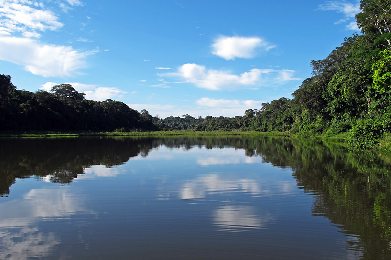 Reflection on Oxbow lake.jpg