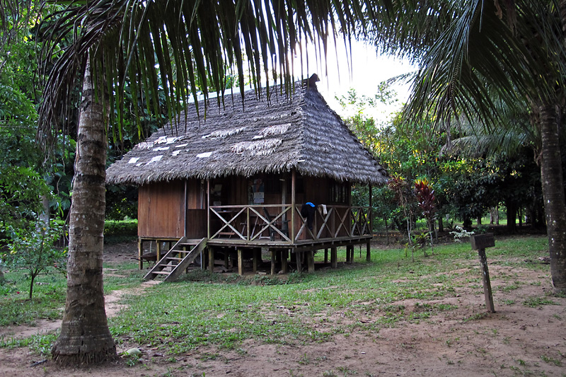 The house of a local jungle farmer.jpg