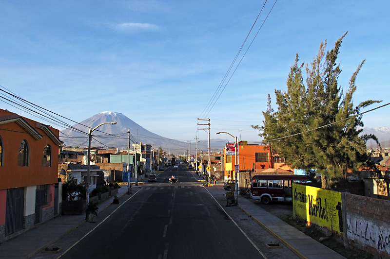 Nice backdrop for this local hood