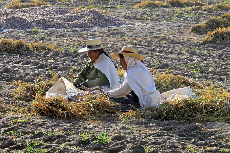 Working in the mid-day sun