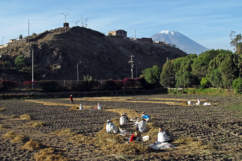 Working in the shadow of El Misti