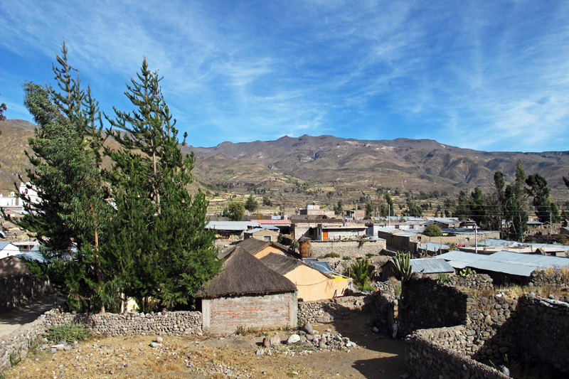 A view of rural Yanque from my window