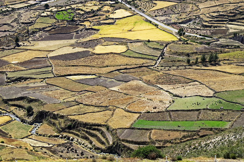 Farming terraces