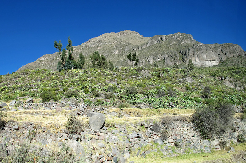 High dessert landscape