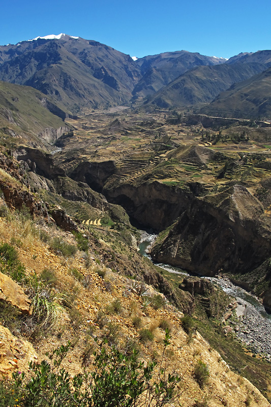 Looking down into the canyon