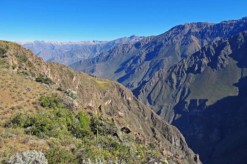 The Canyon is 3,960 feet deep at this spot