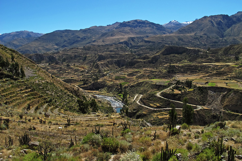 These hillside terraces were likely built by the incas originally