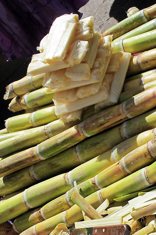 Sugarcane.jpg