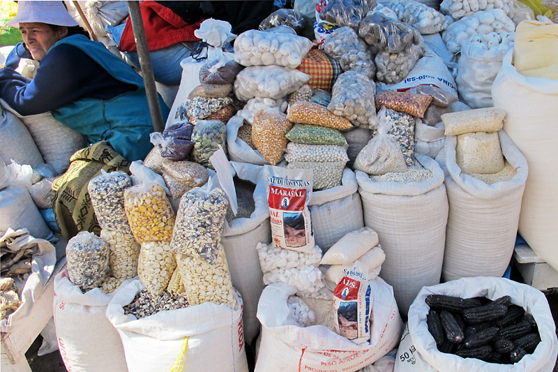 Various beans and blue corn.jpg