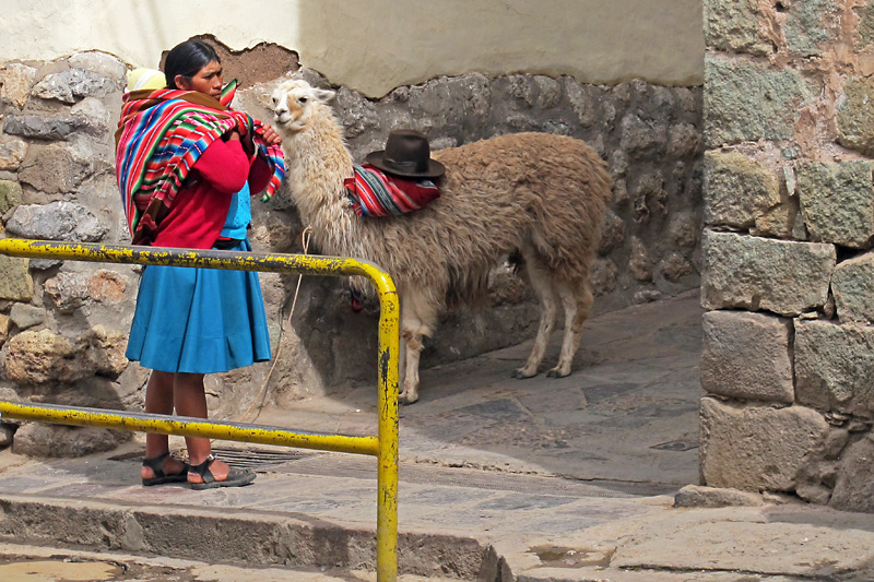 Getting ready for a day's work of posing for tourist pictures.jpg