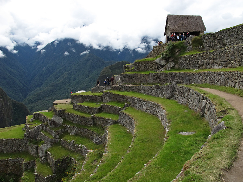 More inca terraces.jpg