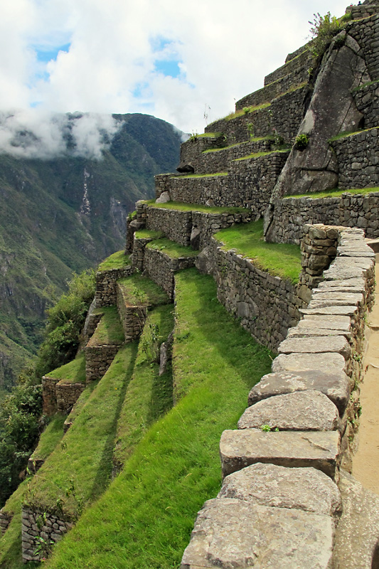 Portrait of the terraces.jpg