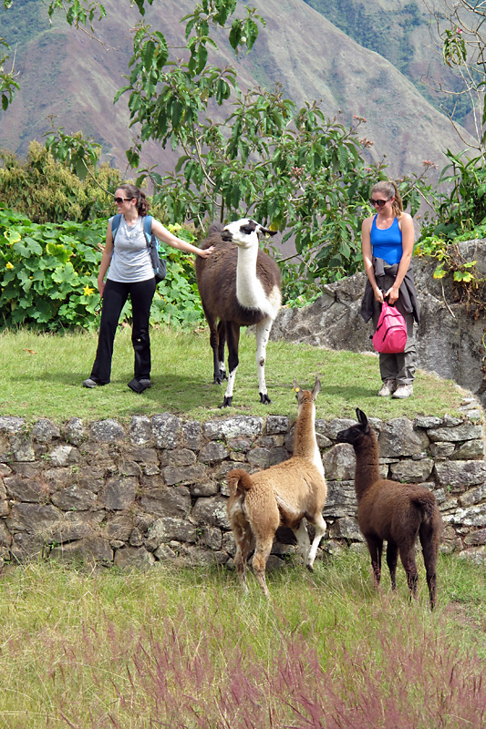 We weren't the only ones taking tourist photos.jpg