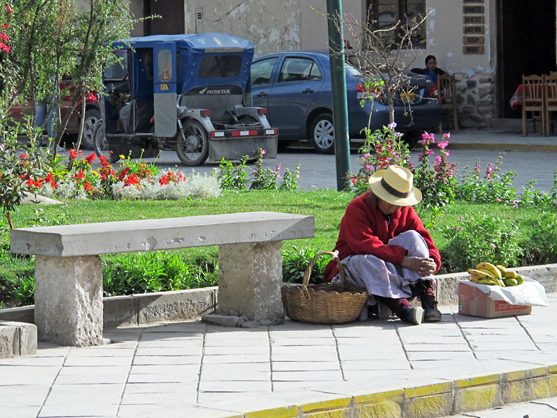 Asleep on the job.jpg