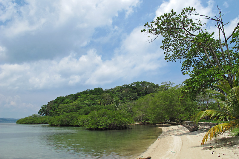 Beach on the island we stopped at between dives.jpg