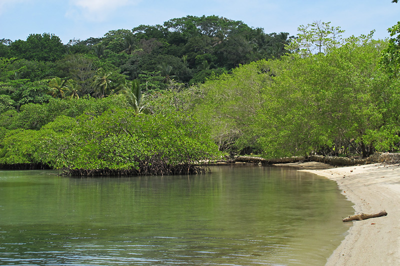 Beach scene-2.jpg