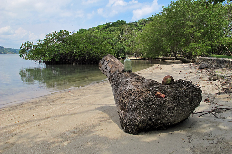 Beach scene.jpg