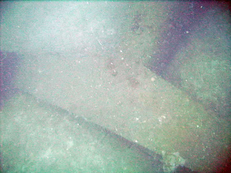 The tail of the plane wreck.jpg