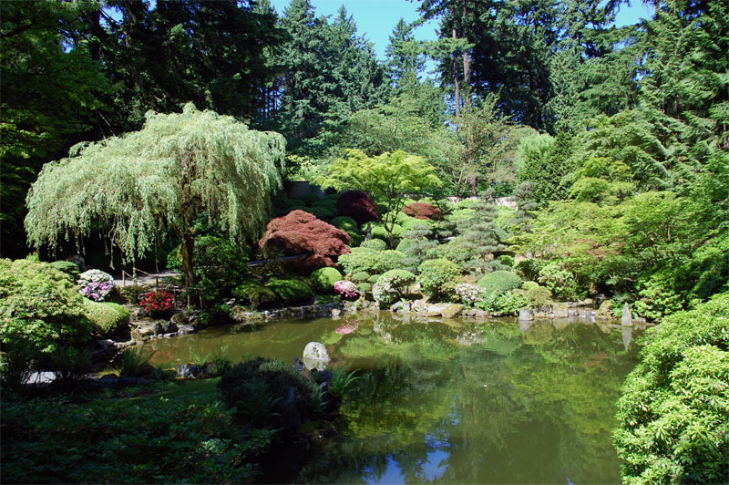 Garden pond.jpg