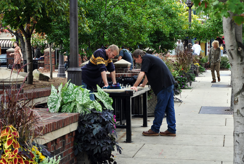 Chess in the park.jpg