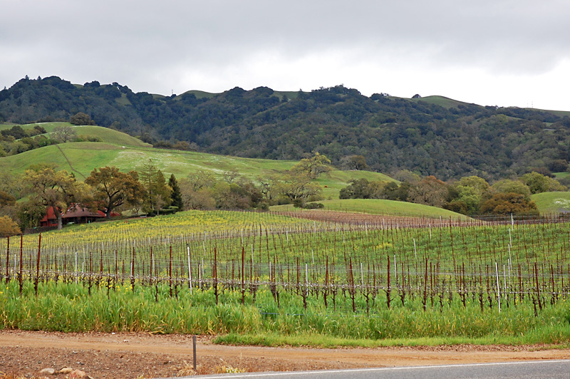 Napa Valley Vineyards