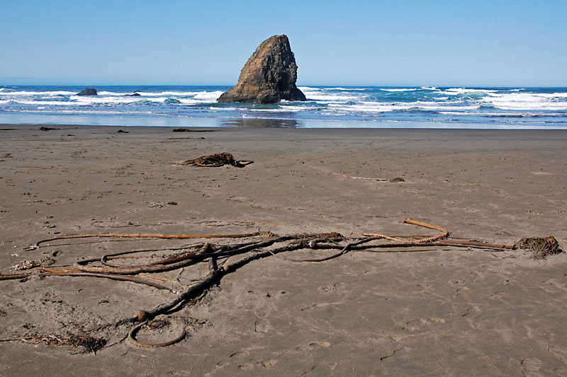 North California coast