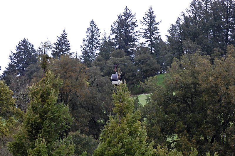 The gondola ride at Sterling Vineyards