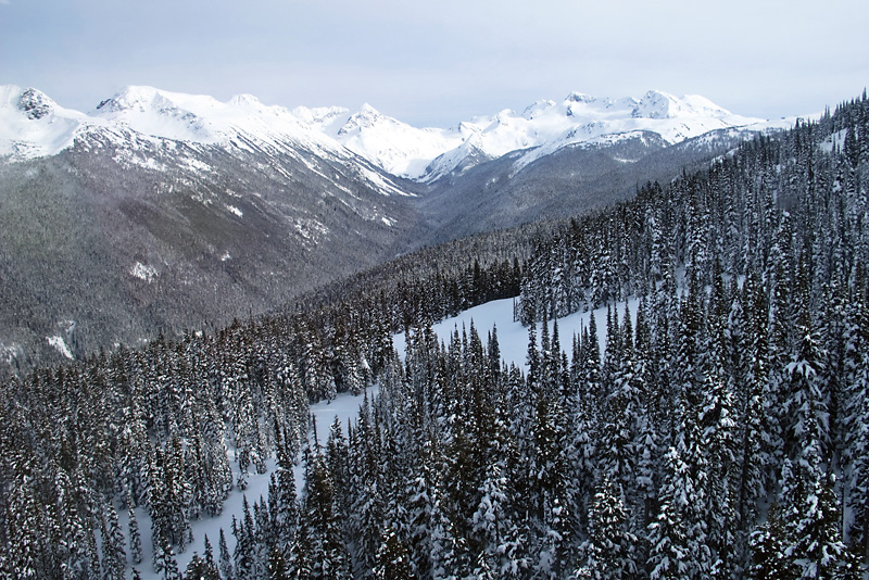 View from the Gondola.jpg