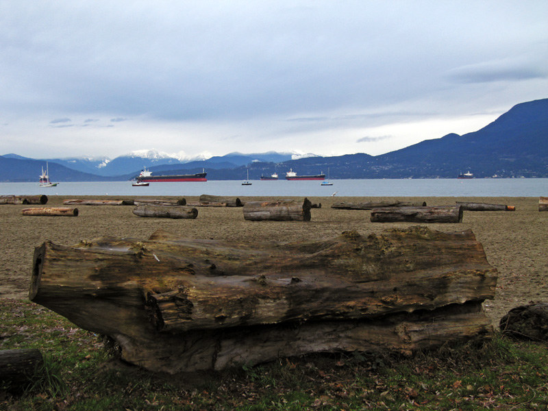 Looking out at the strait of Georgia.jpg