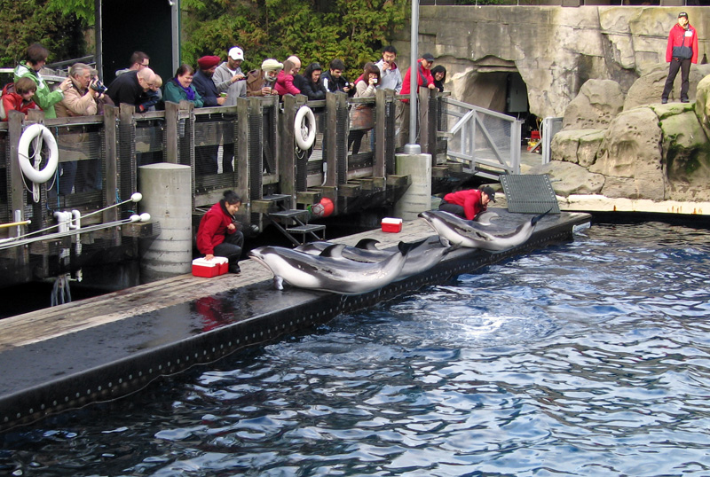 Vancouver Aquairium.jpg