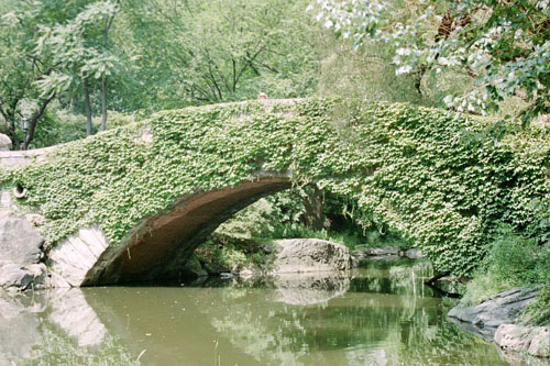 Central_Park.jpg