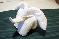 Another strange animal shape made from towels