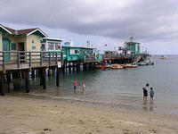 Catalina_Island07.jpg