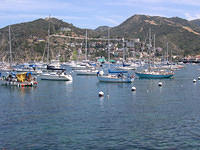 Catalina_Island13.jpg