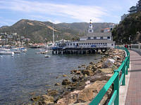 Catalina_Island14.jpg