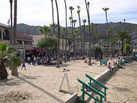 Catalina_Island15.jpg