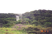 Costa_Rica_Jungle06.jpg