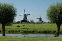 Windmills_in_the_field.jpg