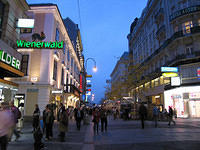 The_busy_shopping_are_near_Stephansdom_2.jpg