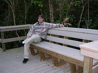 Everglades09.jpg