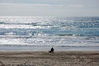 Surf fisherman north of Cape Kiwanda.jpg